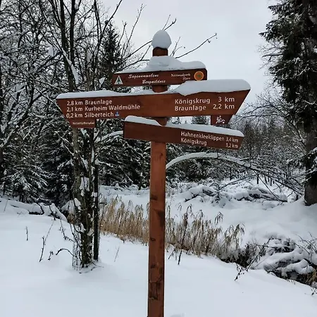 Ferienwohnung Walpurgis Hexe Braunlage Exterior foto