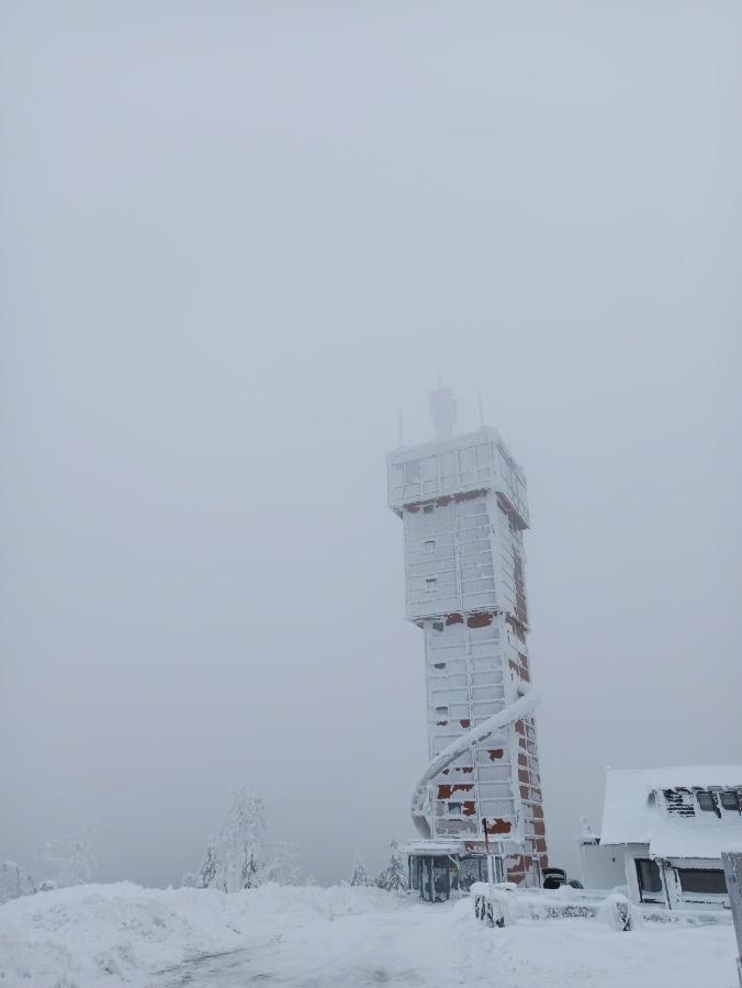 Walpurgis Hexe Apartment Braunlage