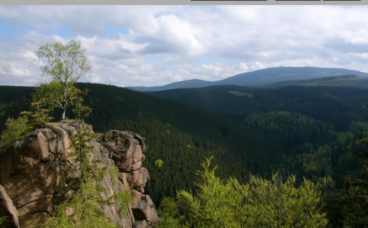 Apartment Walpurgis Hexe Braunlage